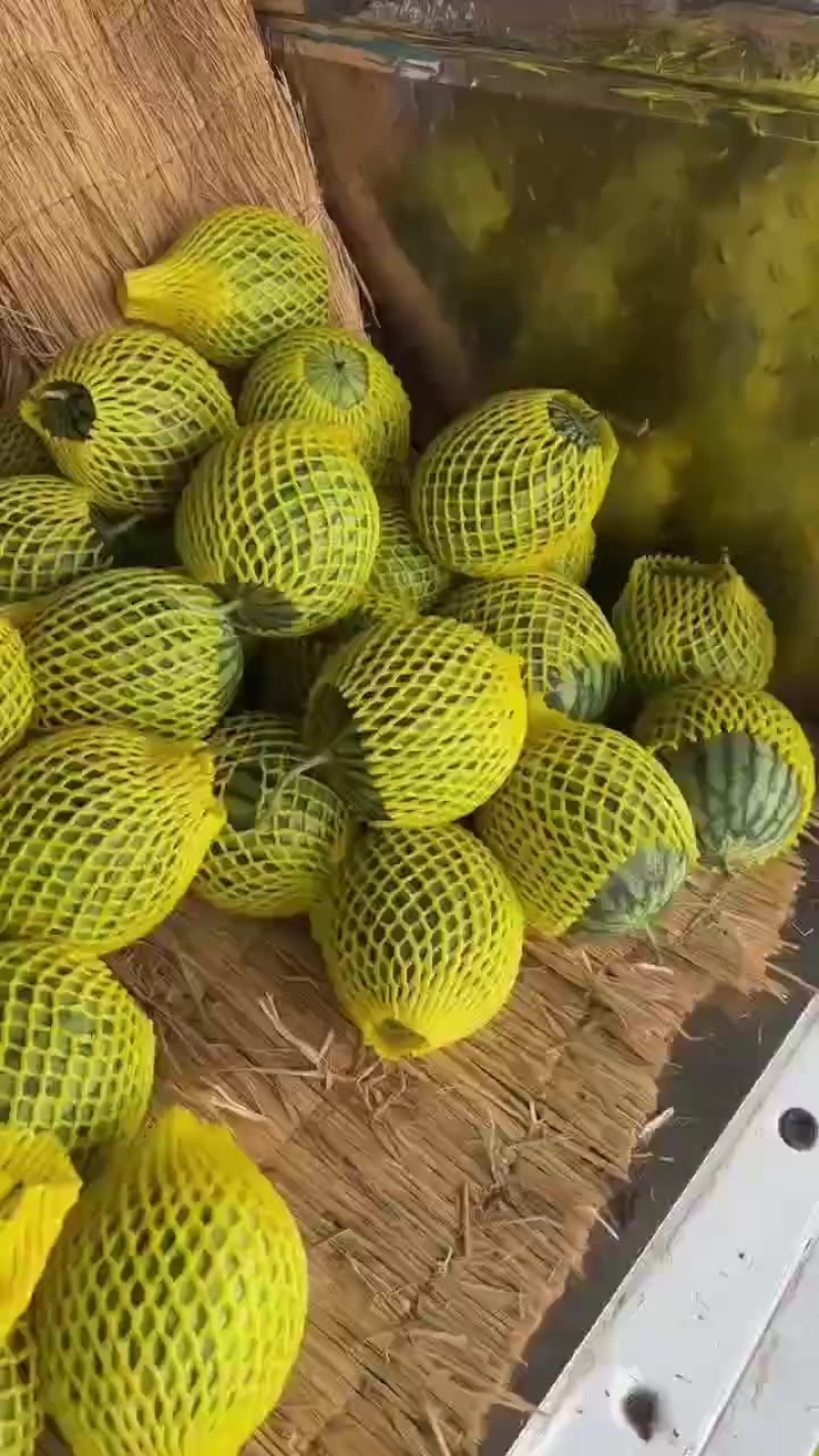 特小凤