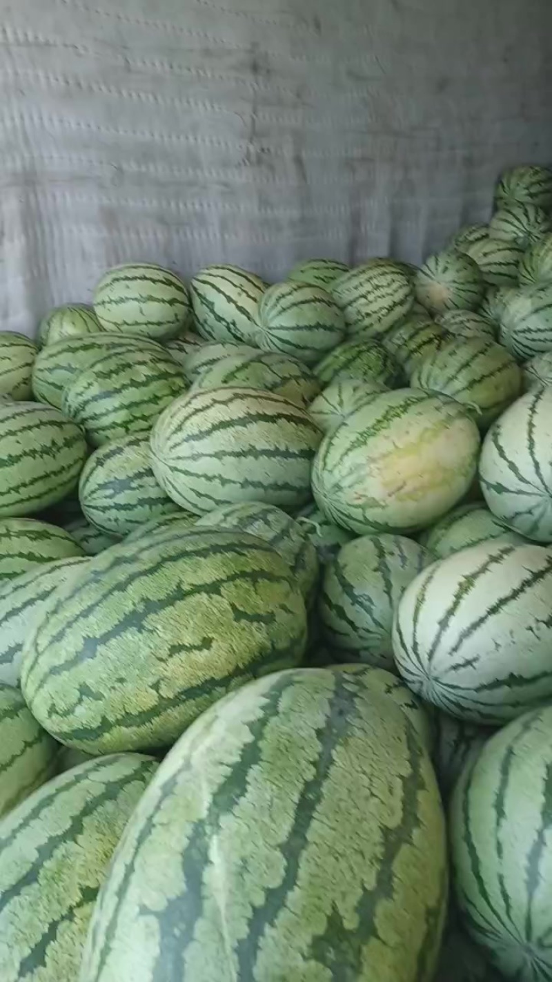 双红金城5