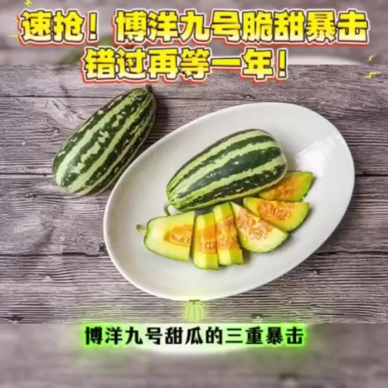 博洋九号