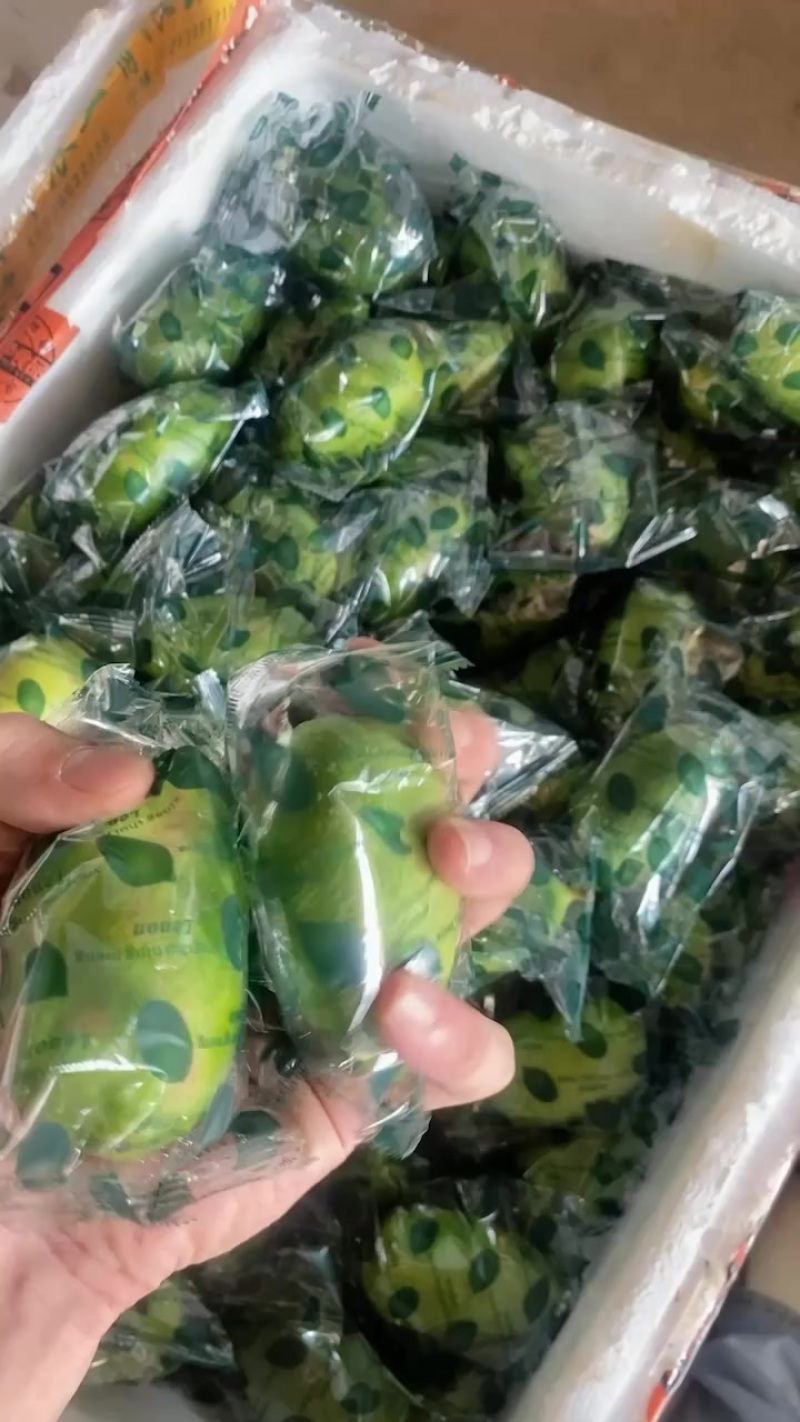 香水柠檬
