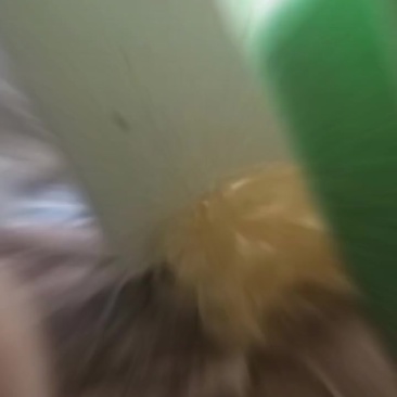李子