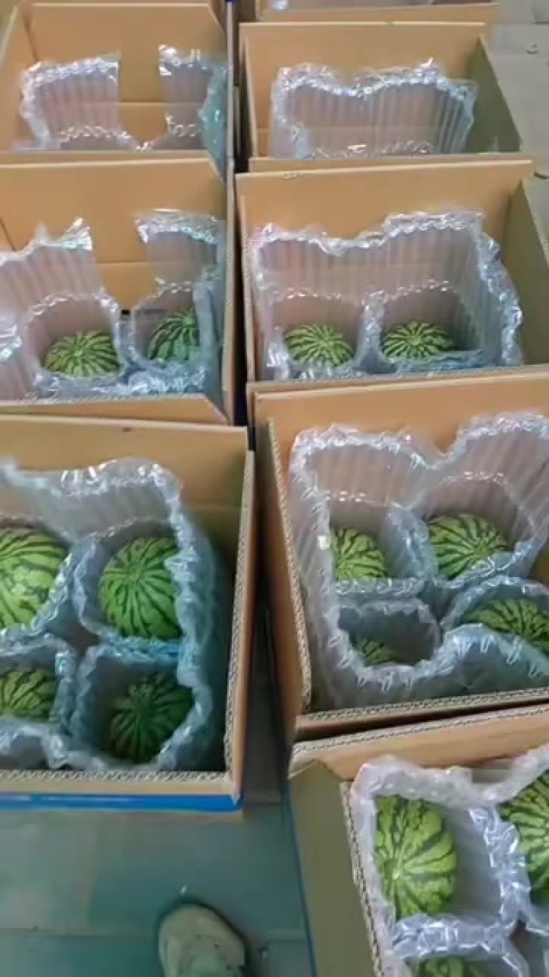 庞各庄小吊瓜