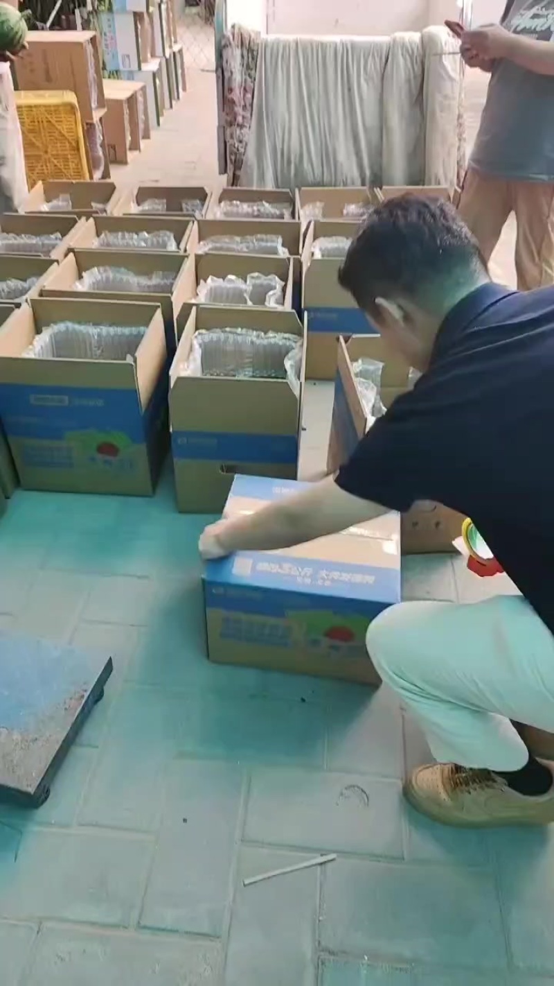 庞各庄小吊瓜