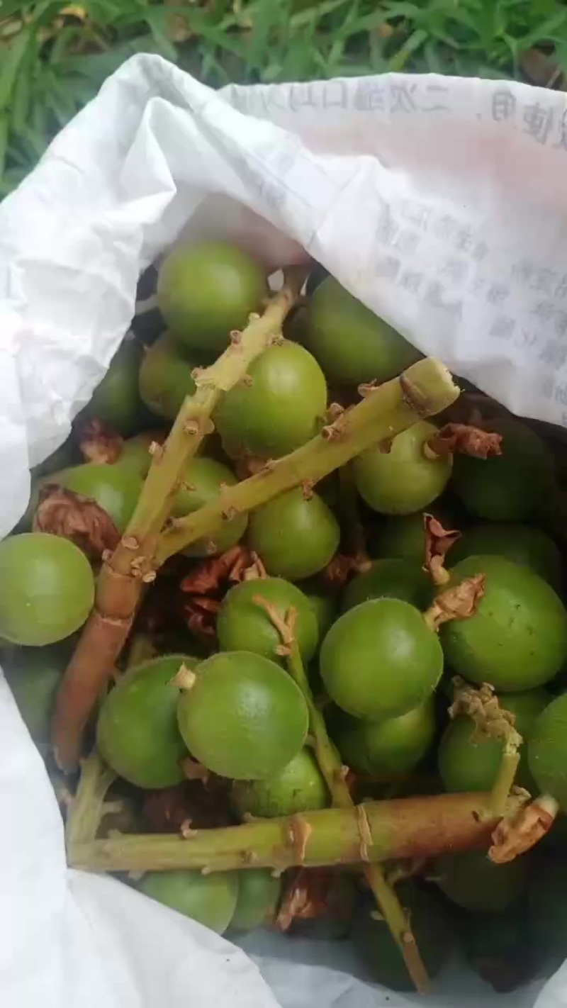 草蔻