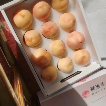水密桃