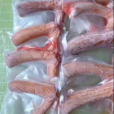 梅花鹿鹿茸精品二杠