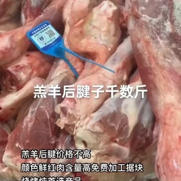 羔羊后腱价格不高