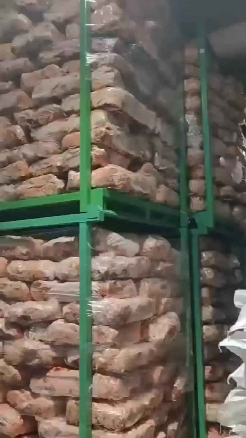 猪肺100吨