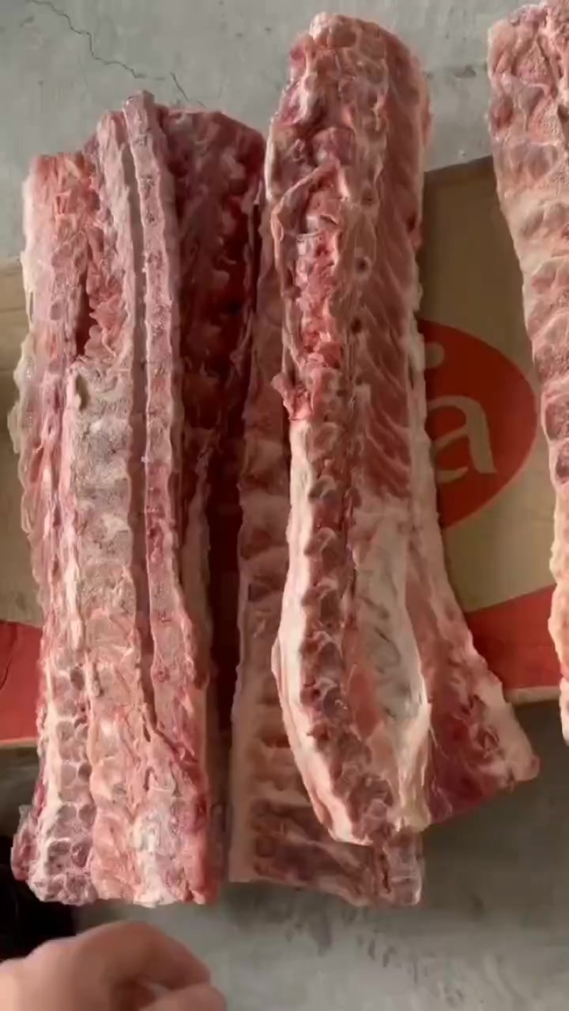 猪背骨