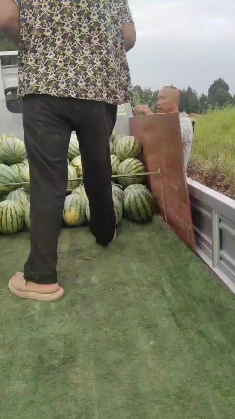 持续出货中……要的老板搞快！