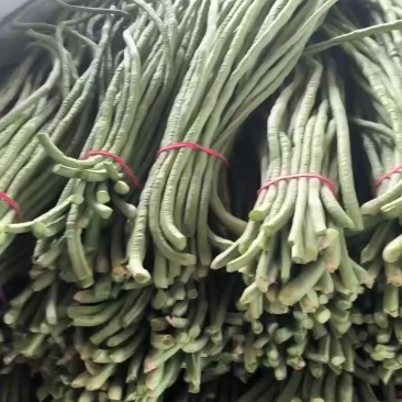 青条豆角