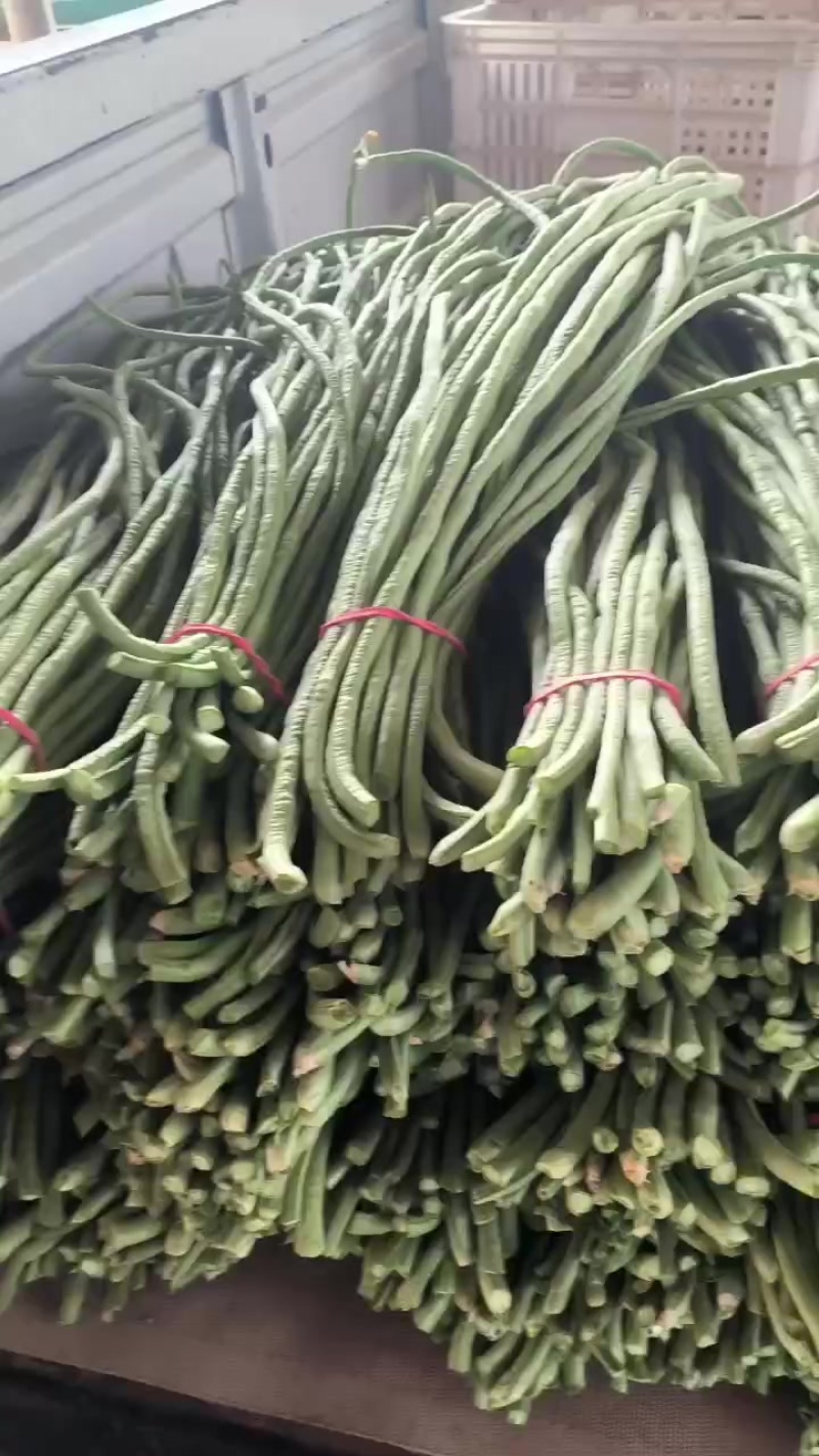 青条豆角