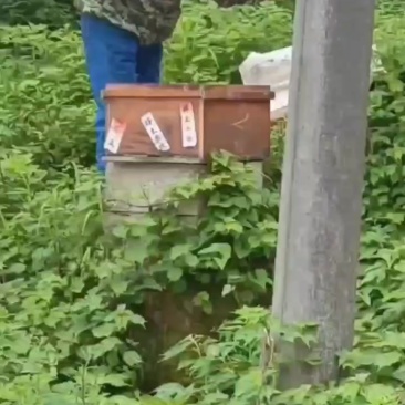 蜂蜜