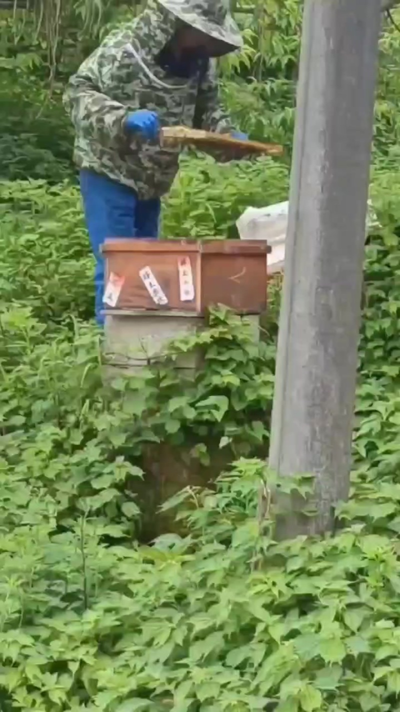 蜂蜜