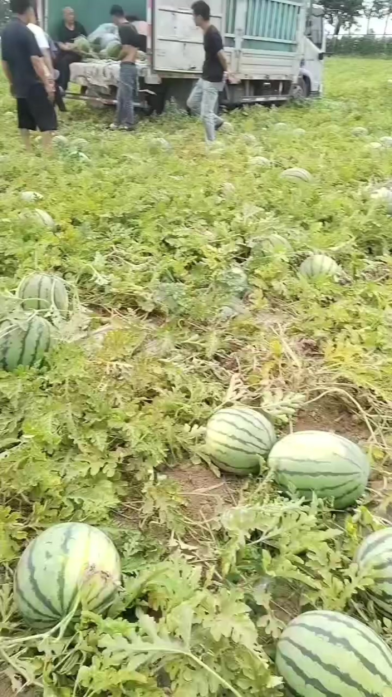 西瓜