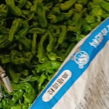 精品薄皮辣椒产地直销