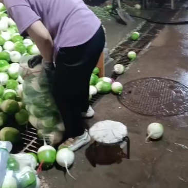 精品宝玉萝卜