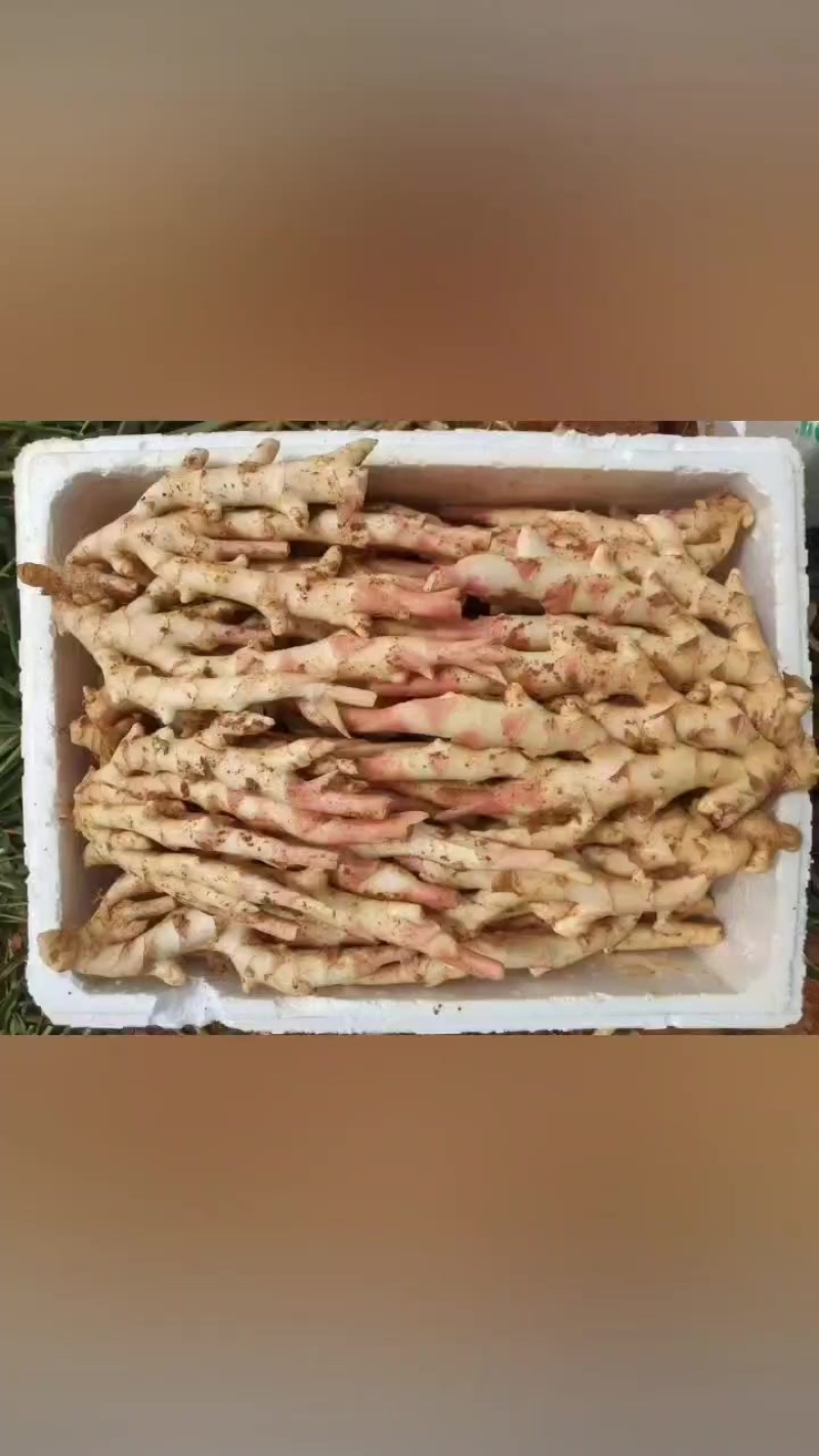 生姜，**