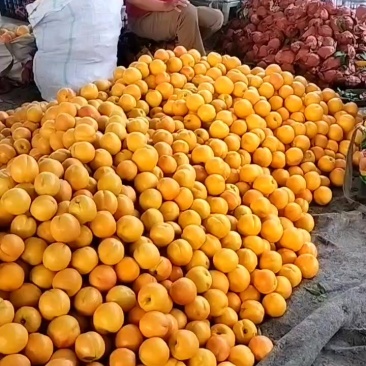 油桃