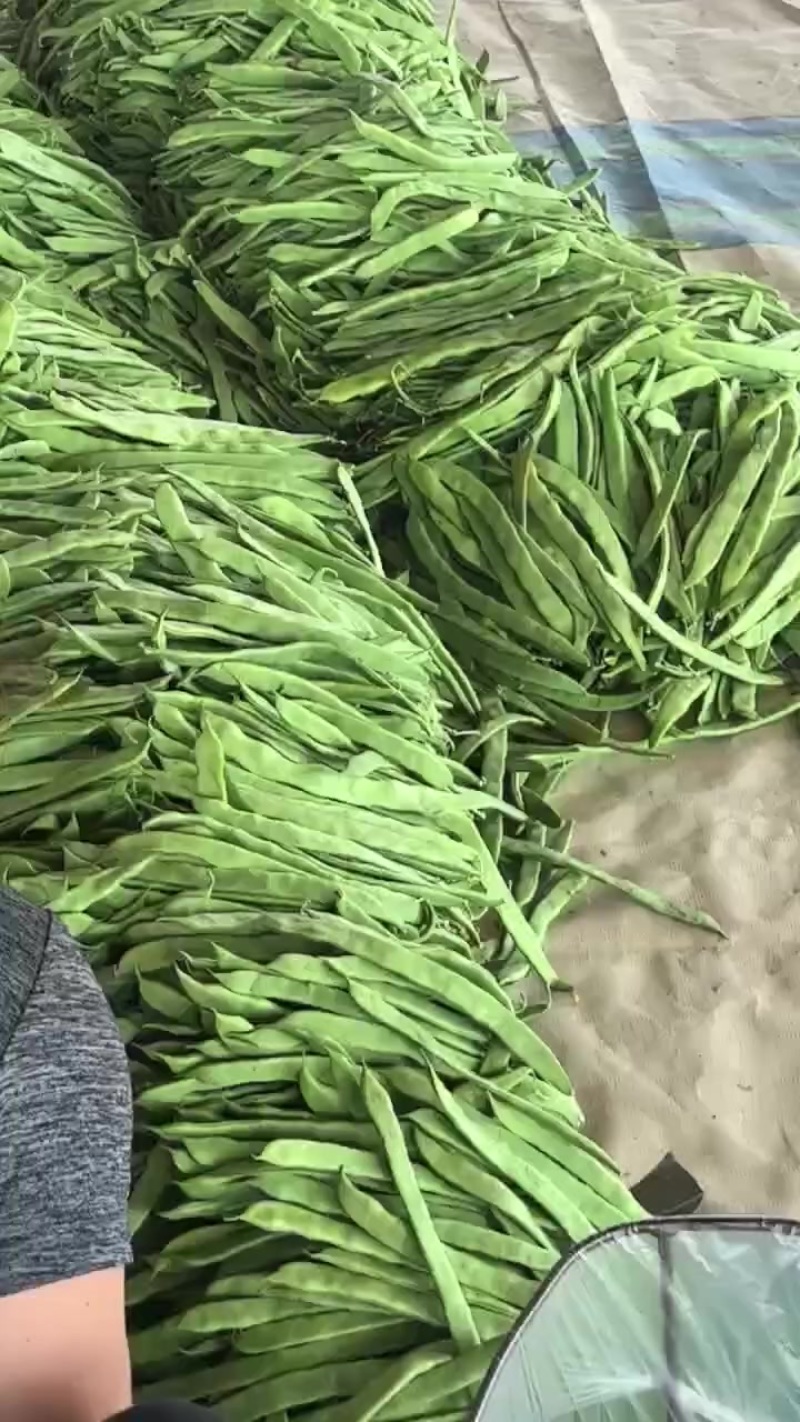 生姜