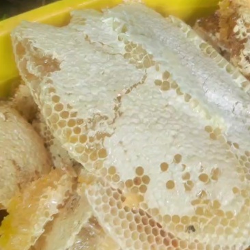 蜂蜜，深山里的百花成熟土蜂蜜，物美价廉