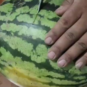 甜王