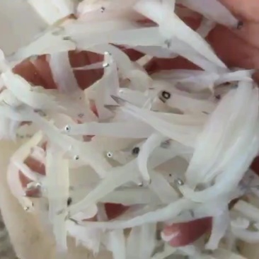 银鱼