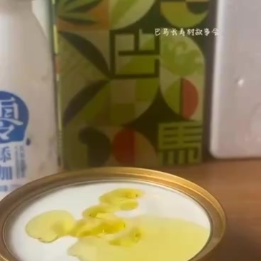 广西巴马山茶油
