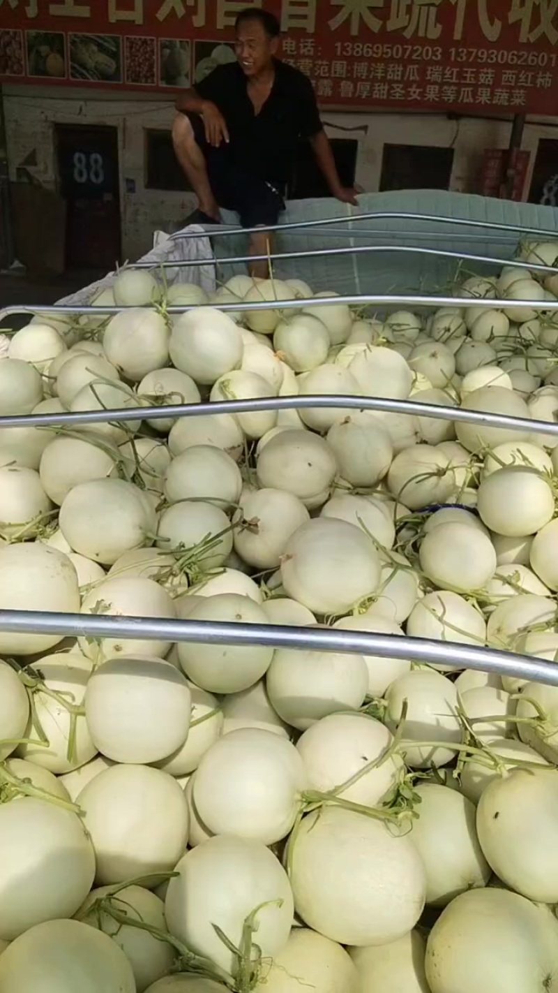 甜瓜