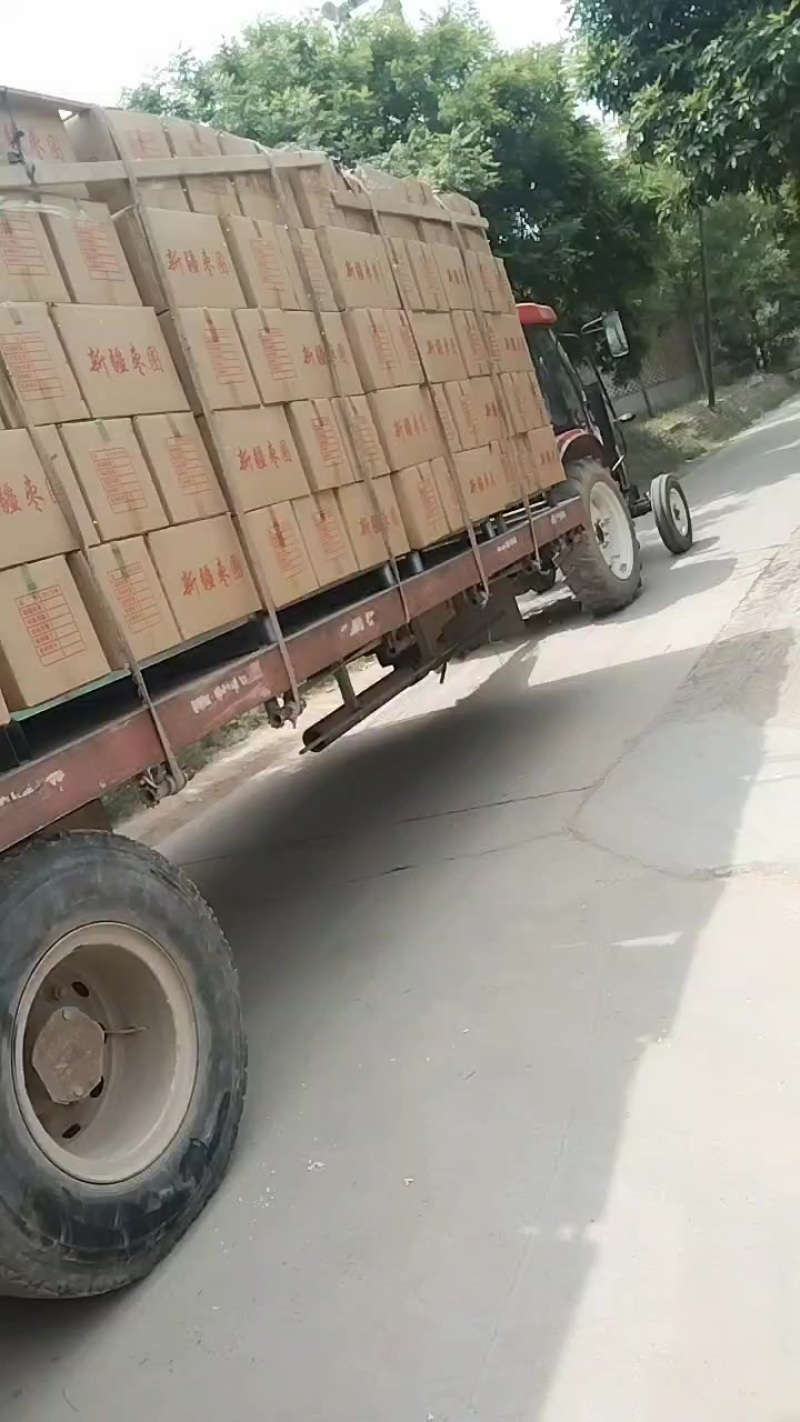 新疆灰枣枣圈，灰枣瓣，去核鸡心枣