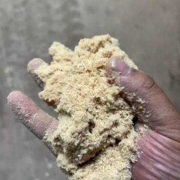 食用菌栽培木糠杉木，南阳木糠。