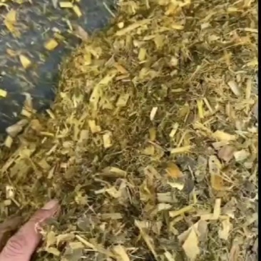 粉碎玉米秸秆，价格美丽，全国各地都发货。