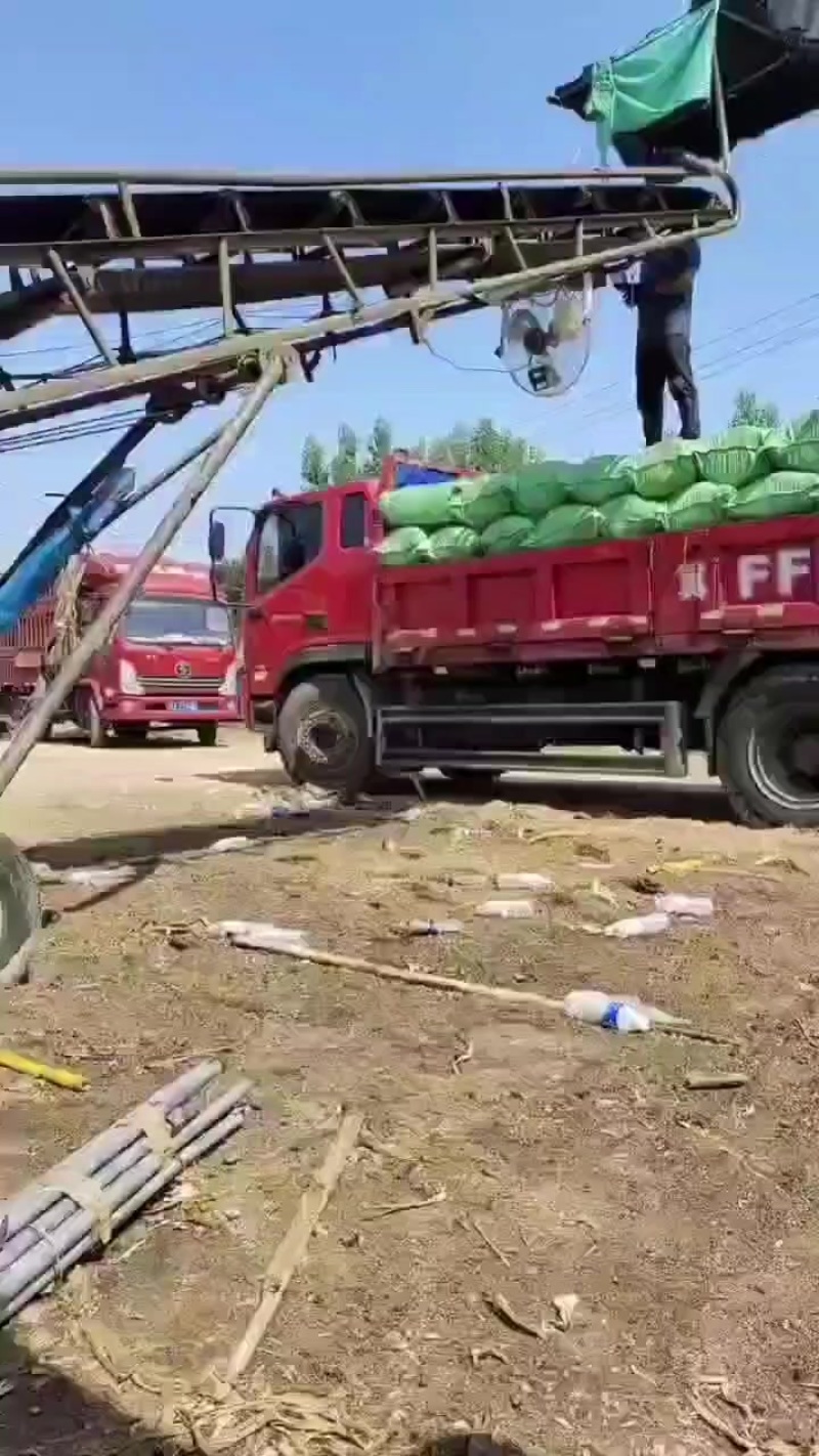 粉碎玉米秸秆，价格美丽，全国各地都发货。