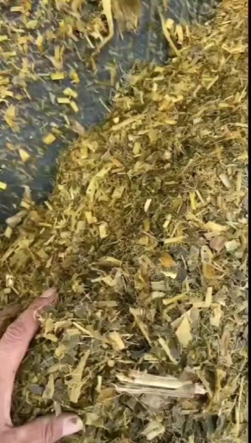 粉碎玉米秸秆，价格美丽，全国各地都发货。