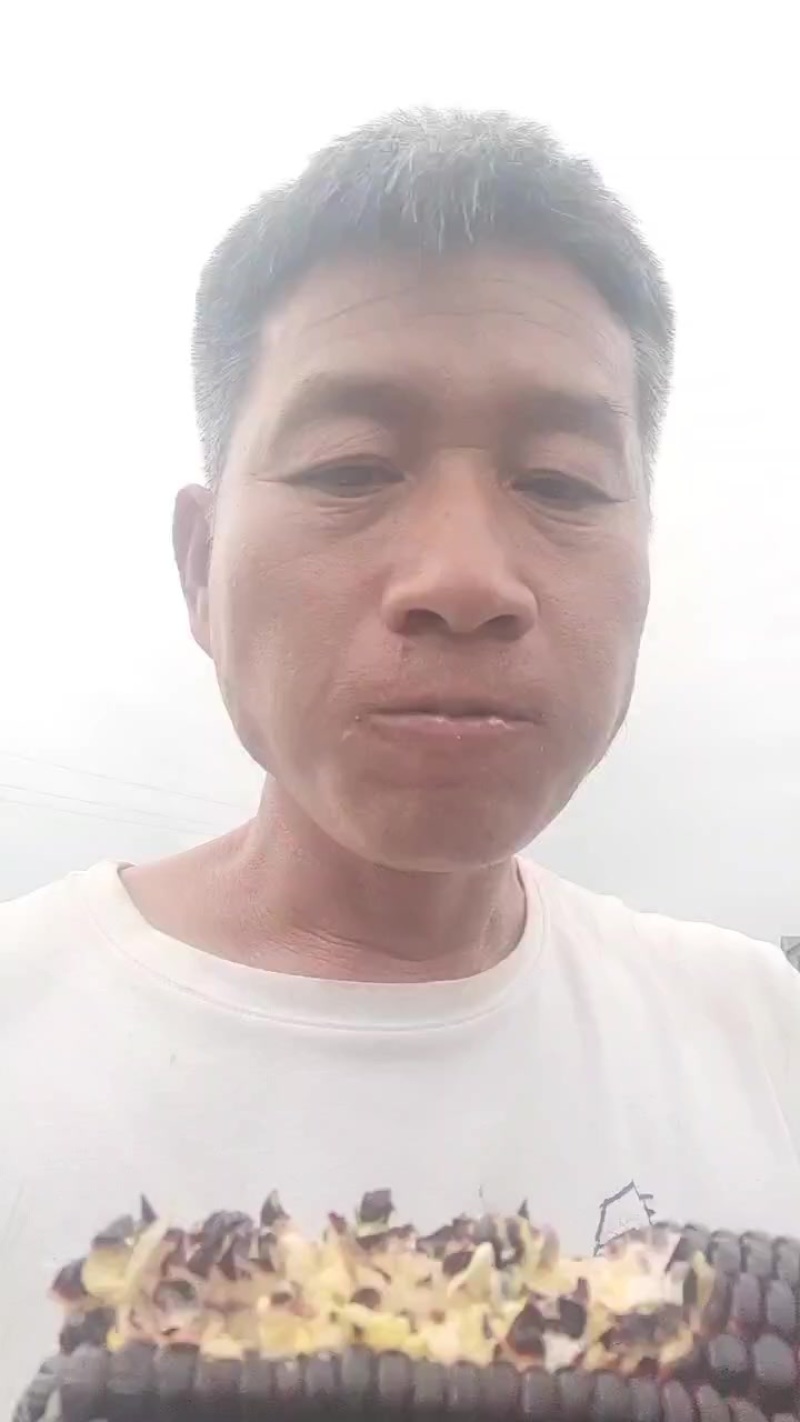 巧克力水果玉米可以生食糖度18