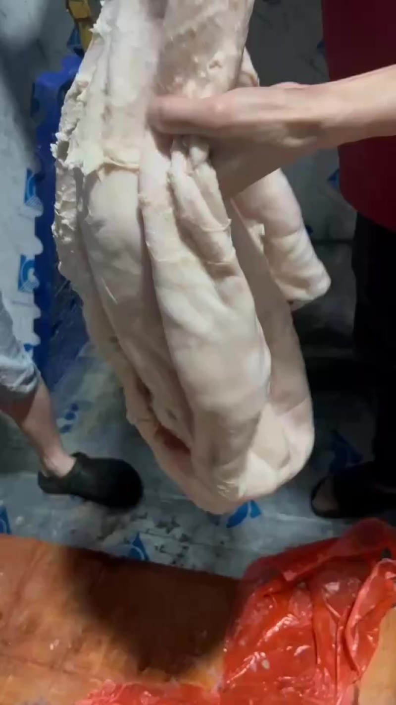 清洗干净水退牛肚批发价1开