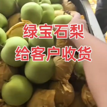 绿宝石梨