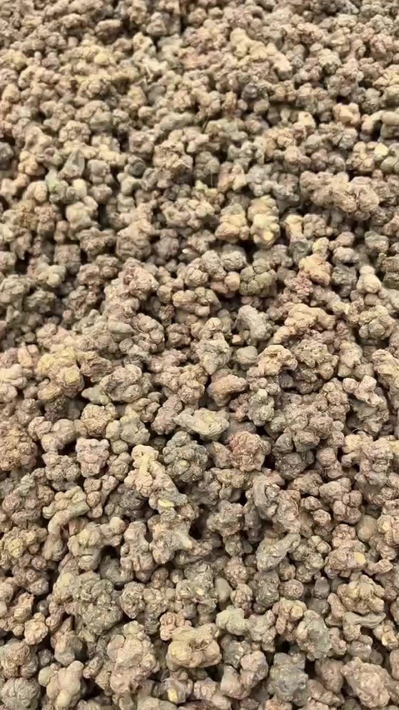 夏天无