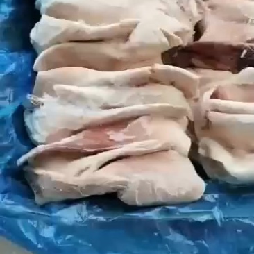 肥猪二级耳