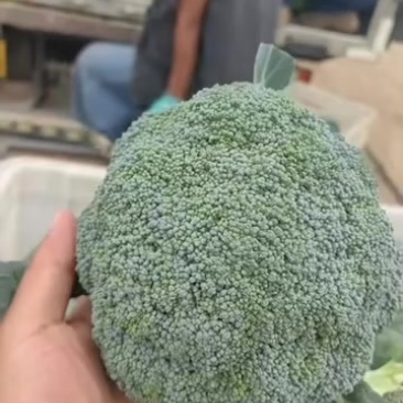 西兰花
