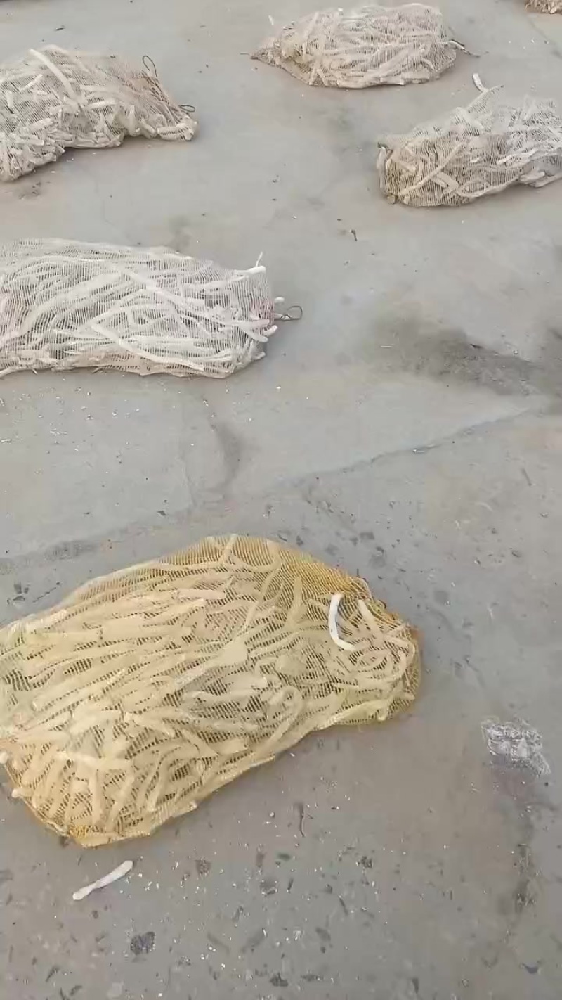 山药光条