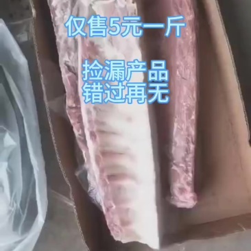 猪龙骨