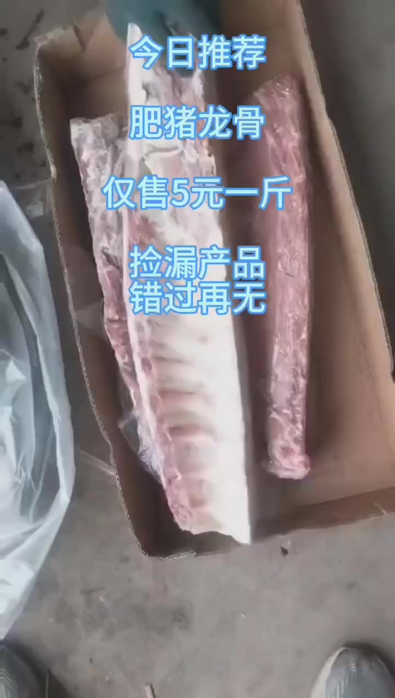 猪龙骨