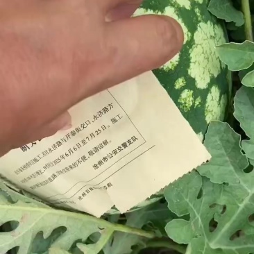 双红金城5