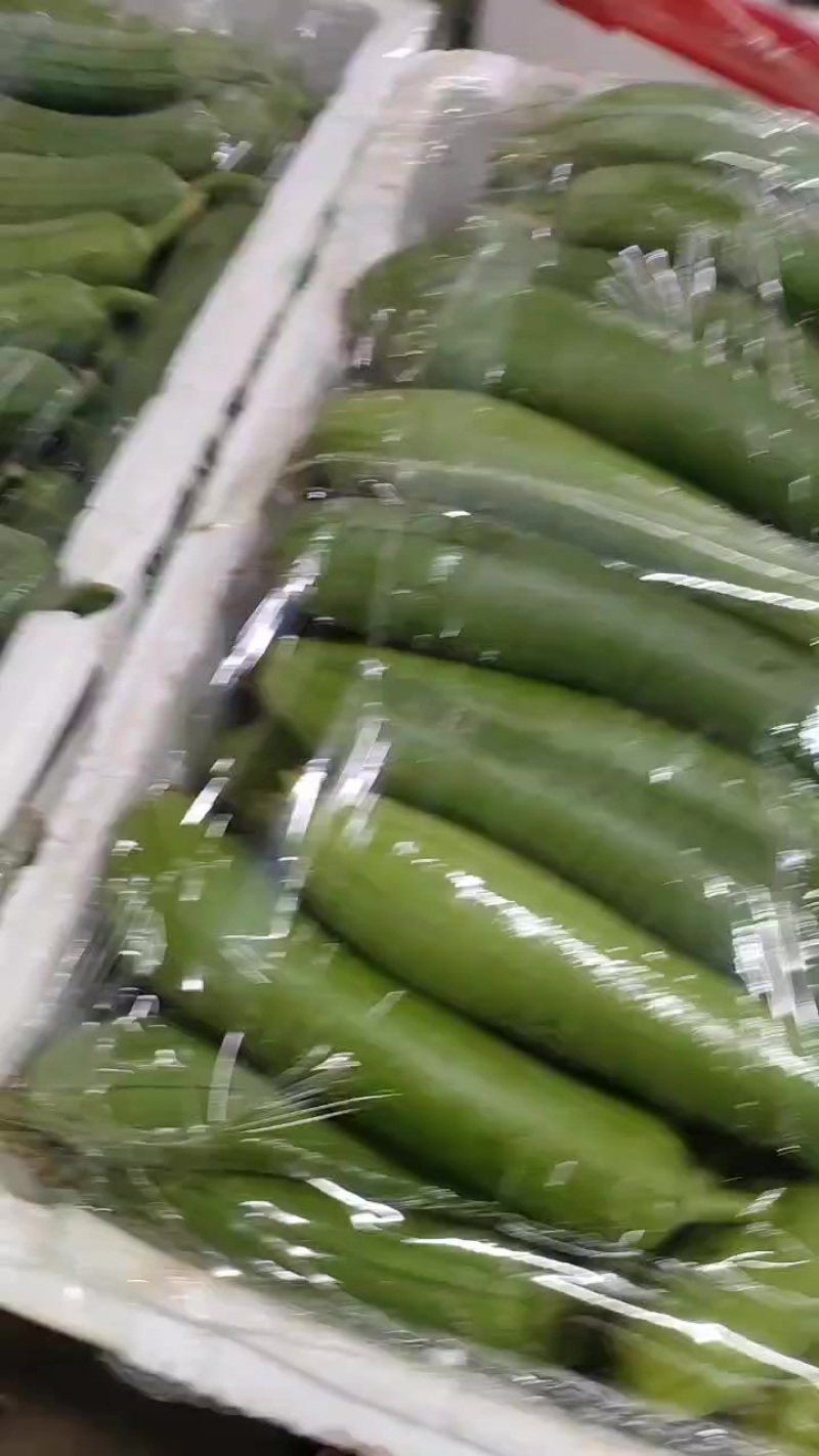 油皮丝瓜