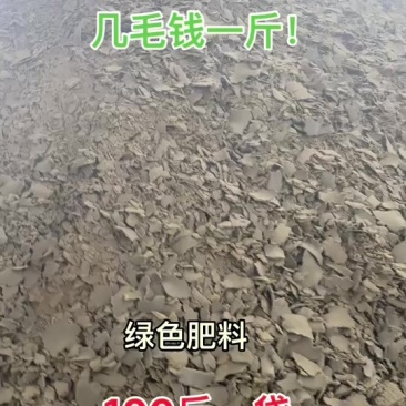 棉籽饼.芝麻饼.高质量高蛋白！价格便宜需要老板联系！
