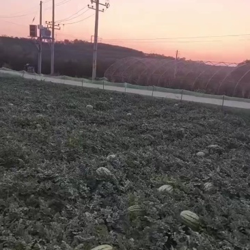 马上开园7毛5上车，量大来谈