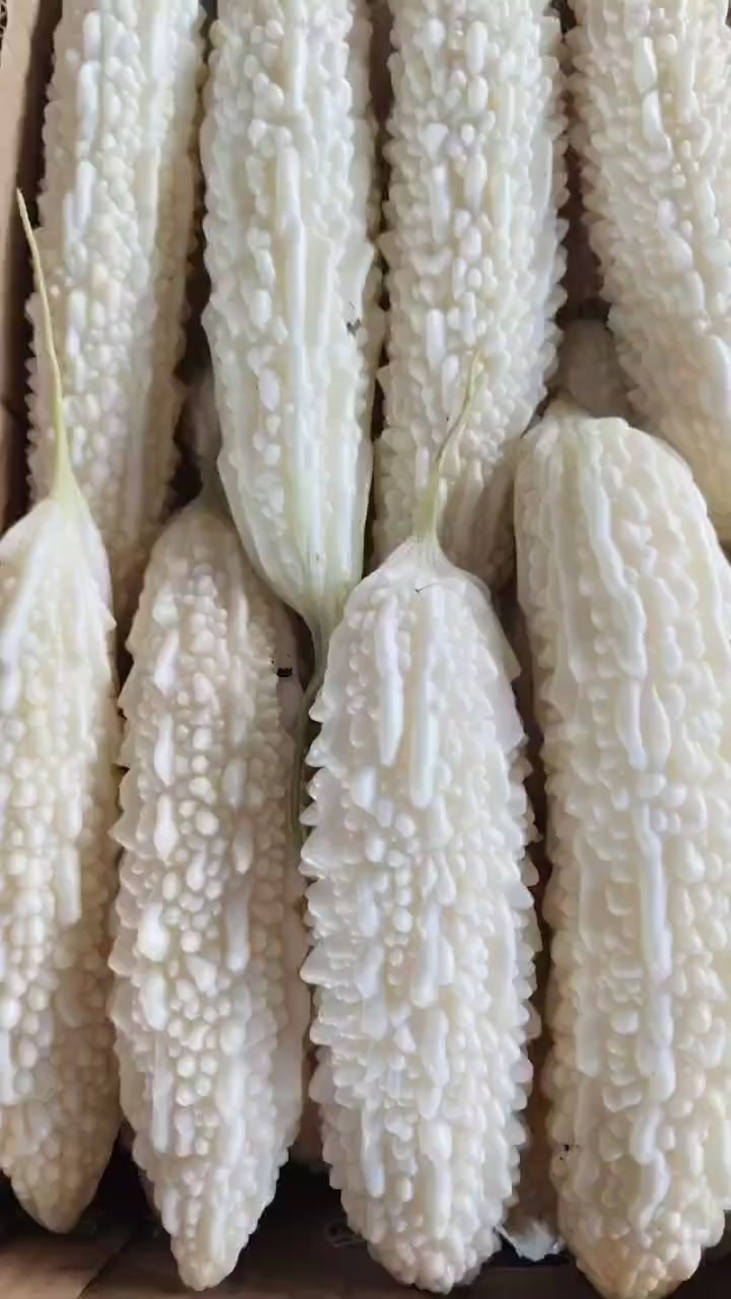 丝瓜