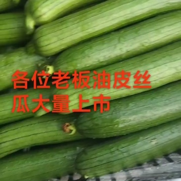 丝瓜