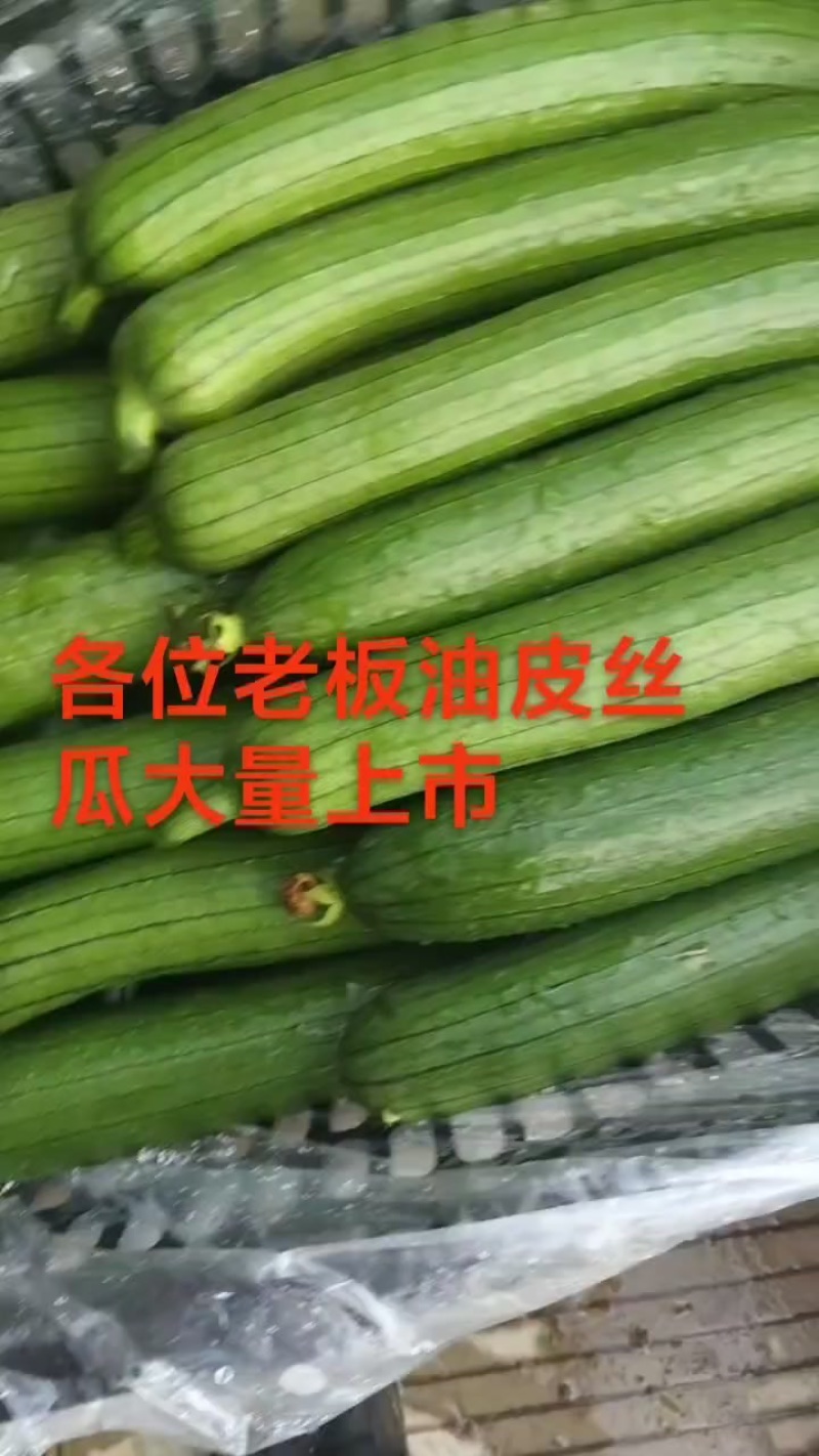 丝瓜
